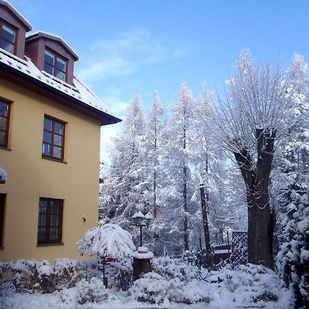 Villa Gorczanska 拉布卡 外观 照片