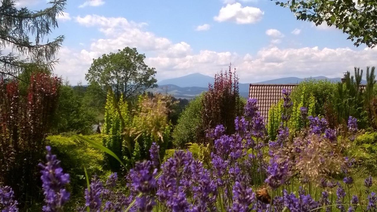 Villa Gorczanska 拉布卡 外观 照片
